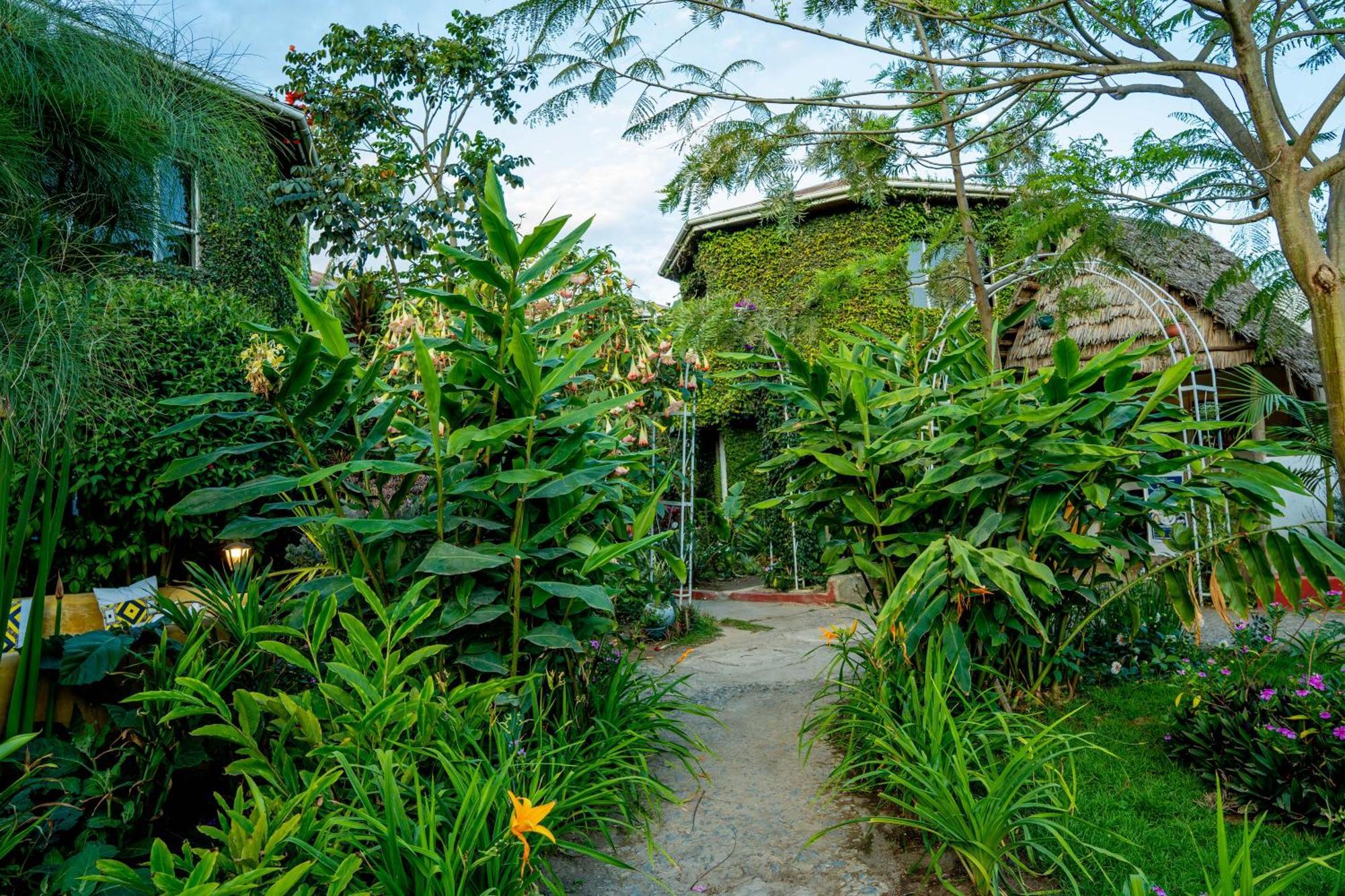 Dan Stam Hotel อารูชา ภายนอก รูปภาพ